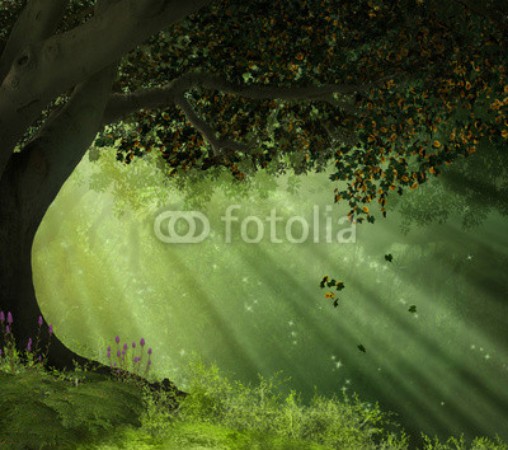 Bild von Old tree in a beautiful day