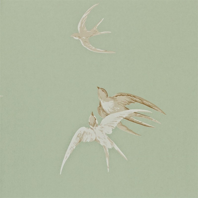 Swallows - DVIWSW102