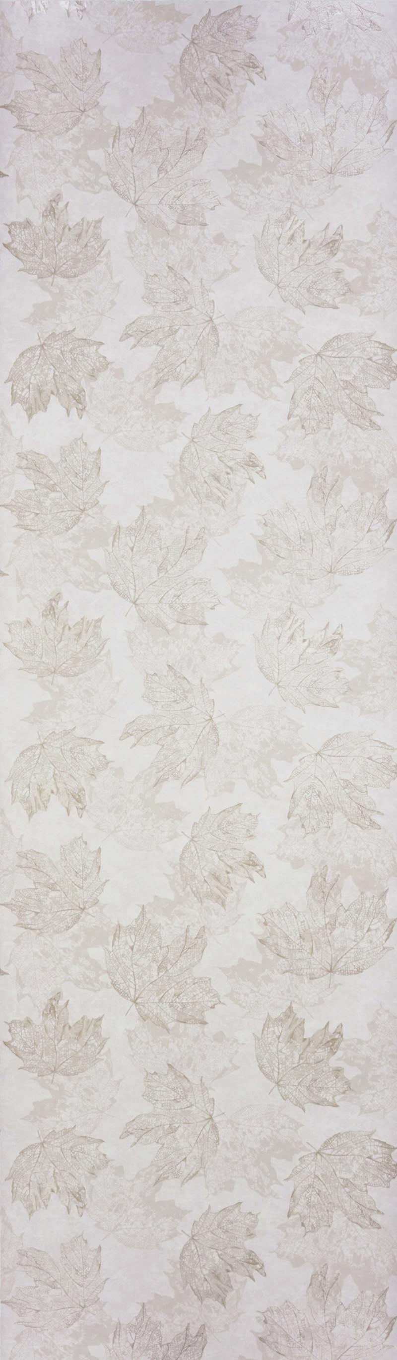 Picture of Sycamore - W7336-04