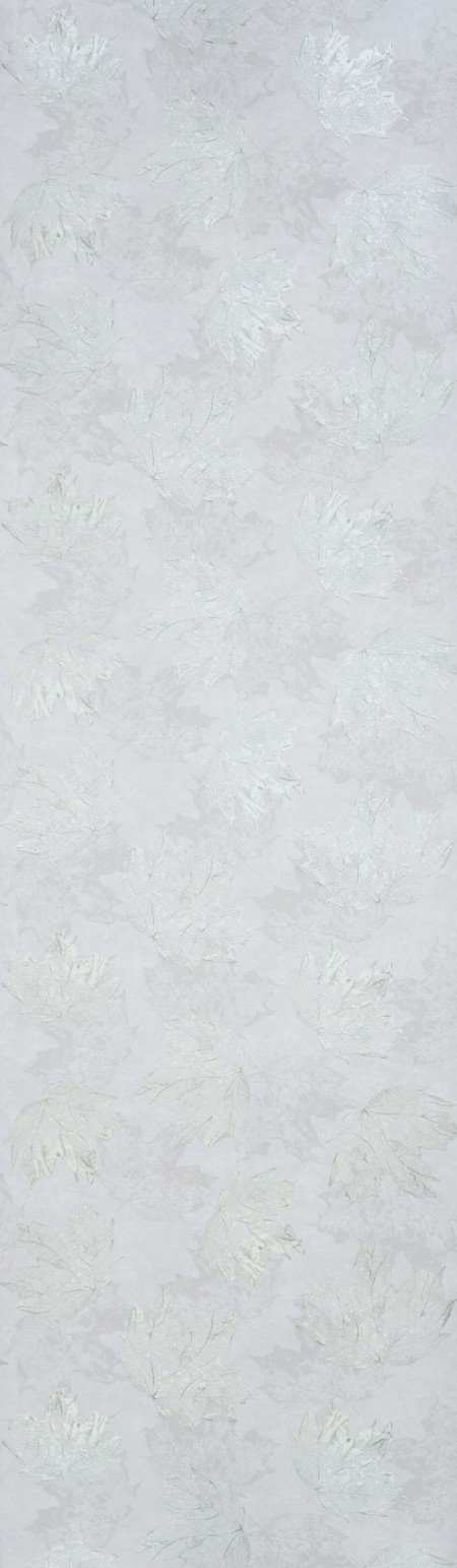 Image de Sycamore - W7336-03