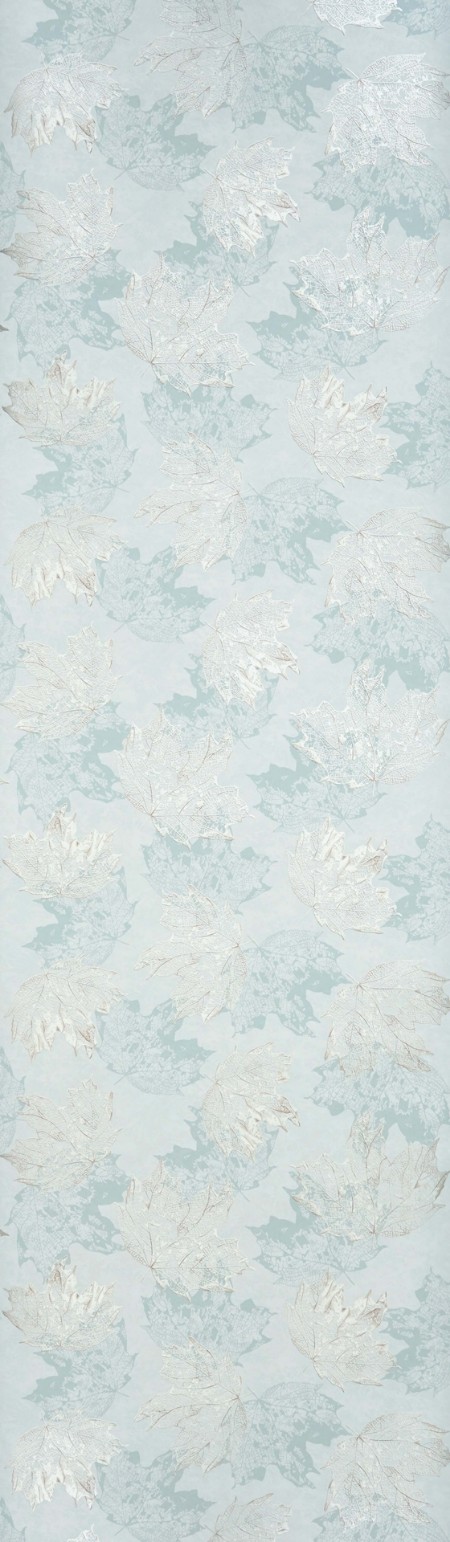 Image de Sycamore - W7336-01