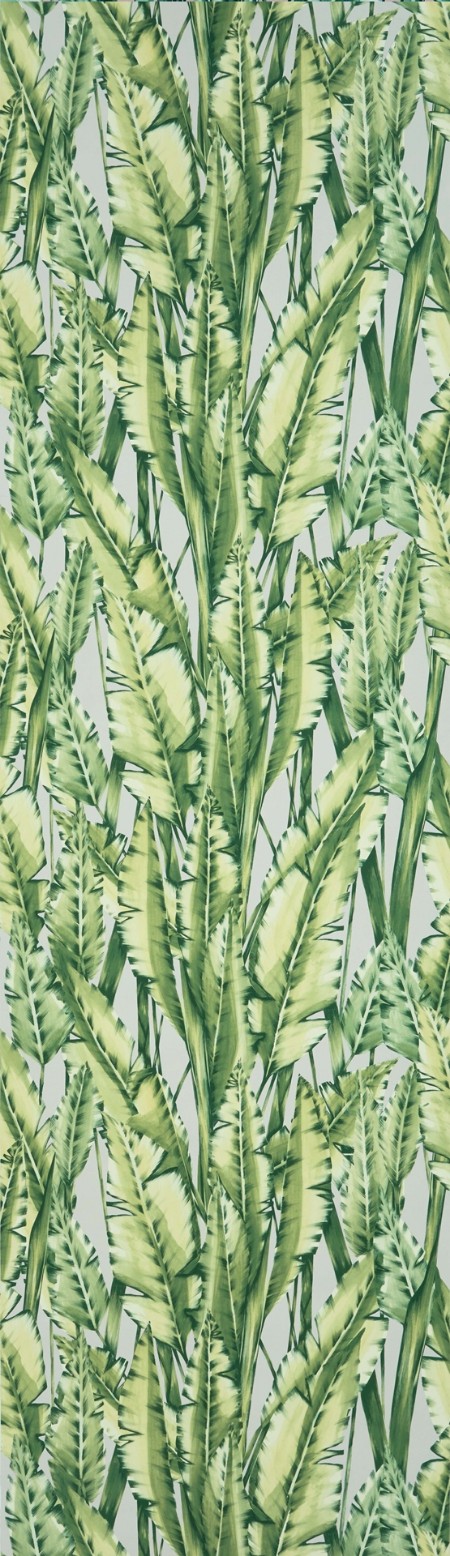 Image de Tiger Leaf - W7333-02