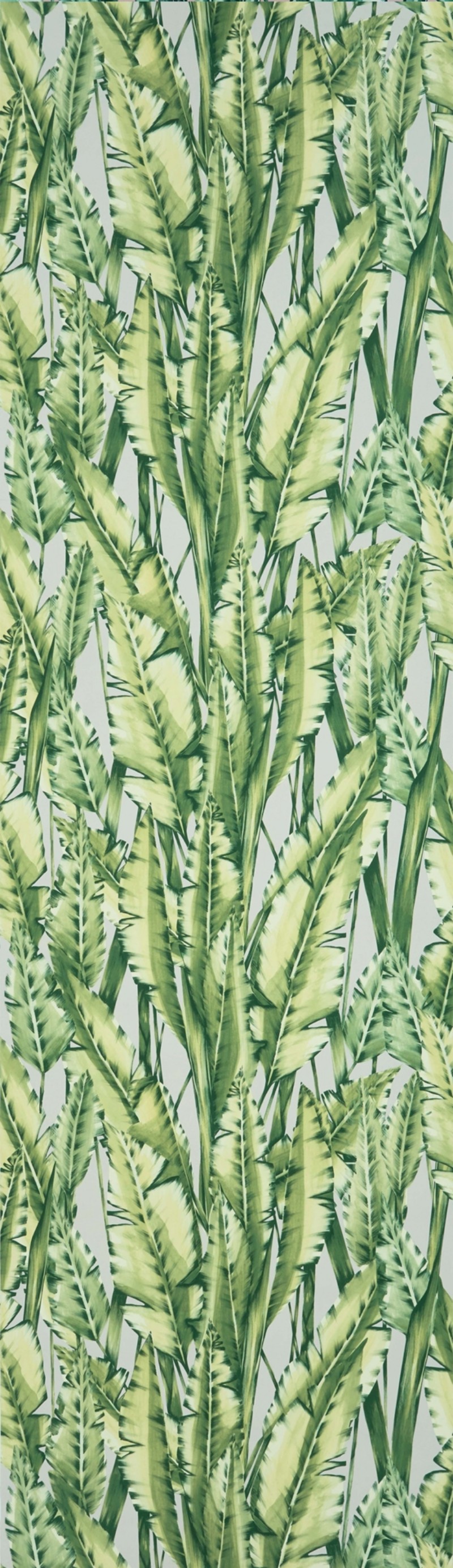 Picture of Tiger Leaf - W7333-02