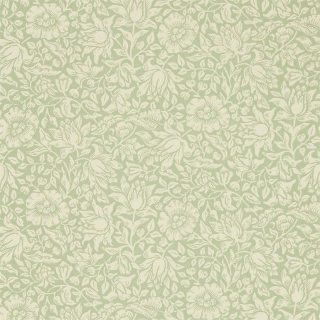 Picture of Mallow Apple Green - 216678