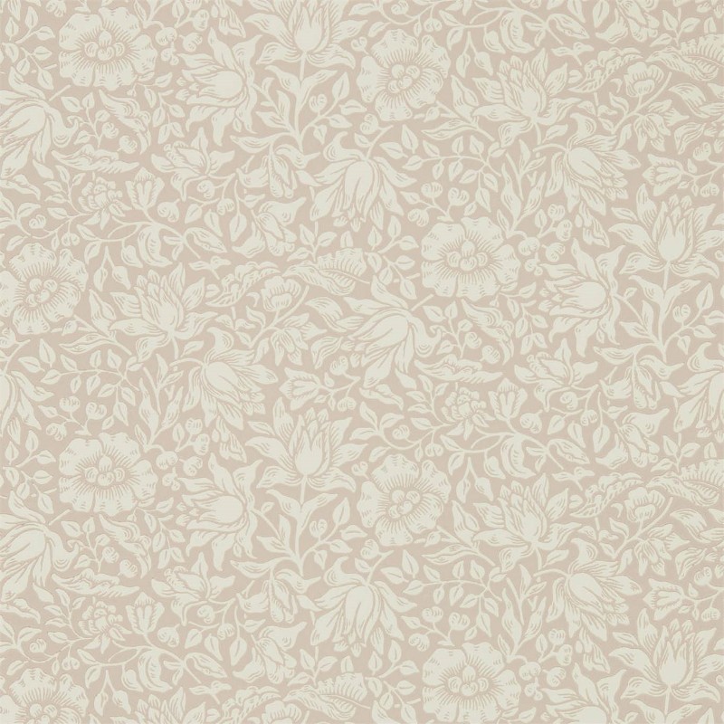 Picture of Mallow Dusky Rose - 216675