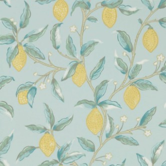 Image de Lemon Tree Wedgewood - 216674