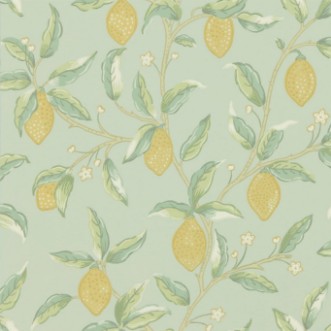 Image de Lemon Tree Sage - 216673