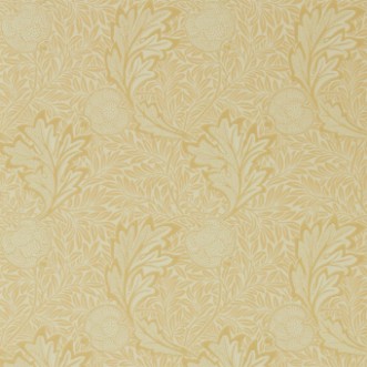 Image de Apple Honey Gold - 216691