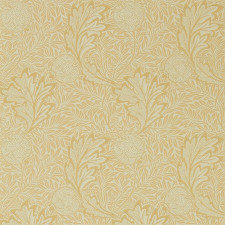 Afbeeldingen van Apple Honey Gold - 216691