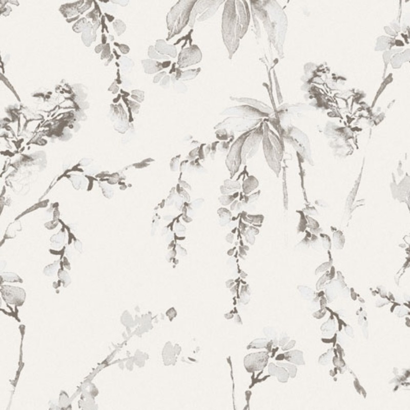 Bild på Kosmos - LAV501