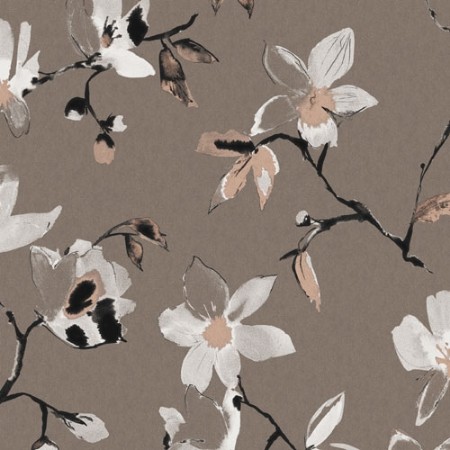 Bild på Kosmos - LAV005