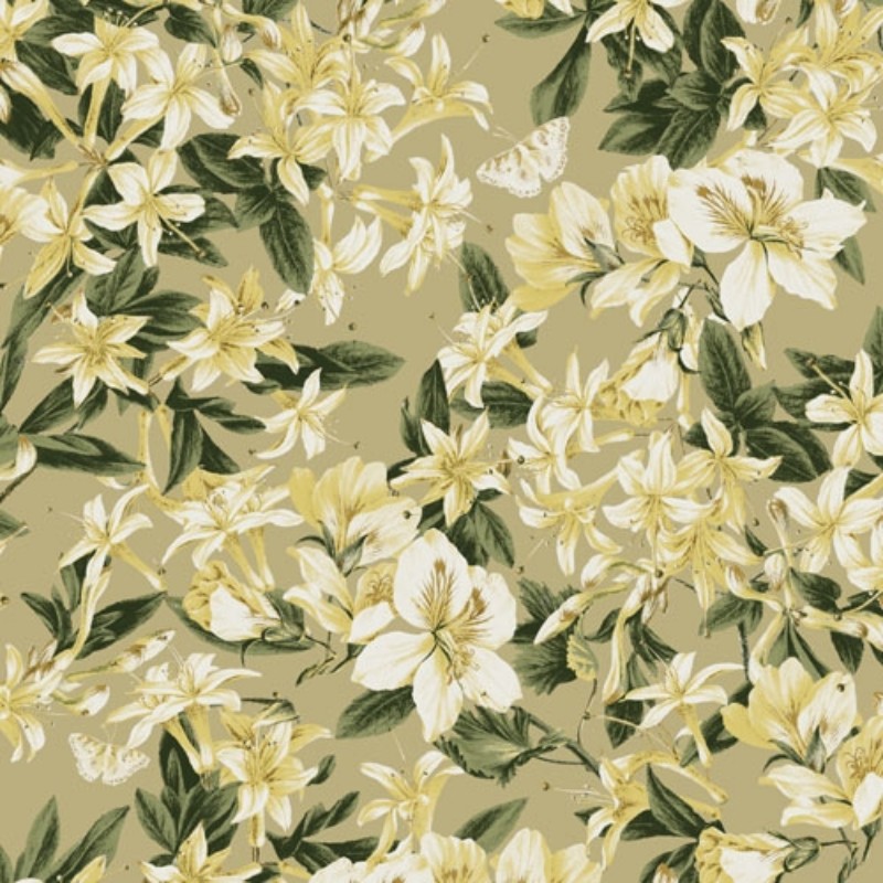 Bild på Kent - KEN202