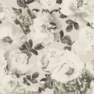 Bild på Kent - KEN005