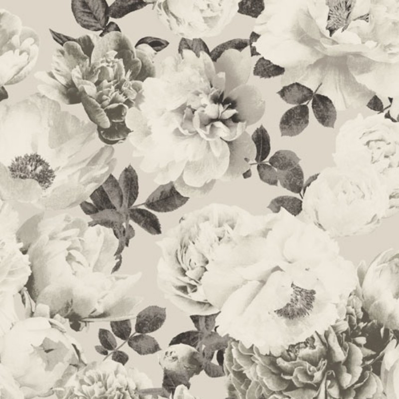 Bild på Kent - KEN005