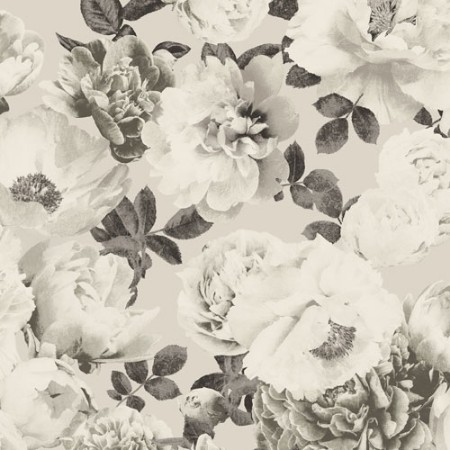 Bild på Kent - KEN005