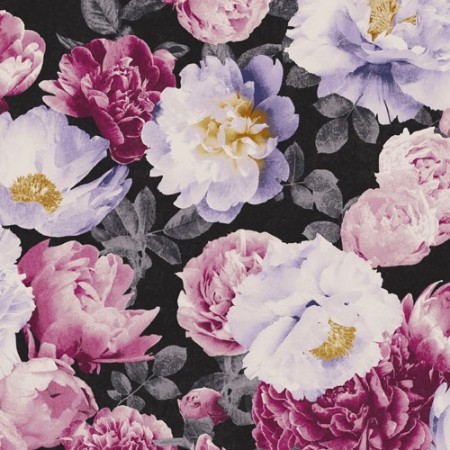 Bild på Kent - KEN002