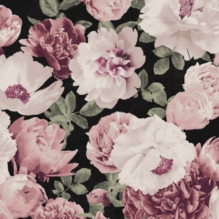 Bild på Kent - KEN001