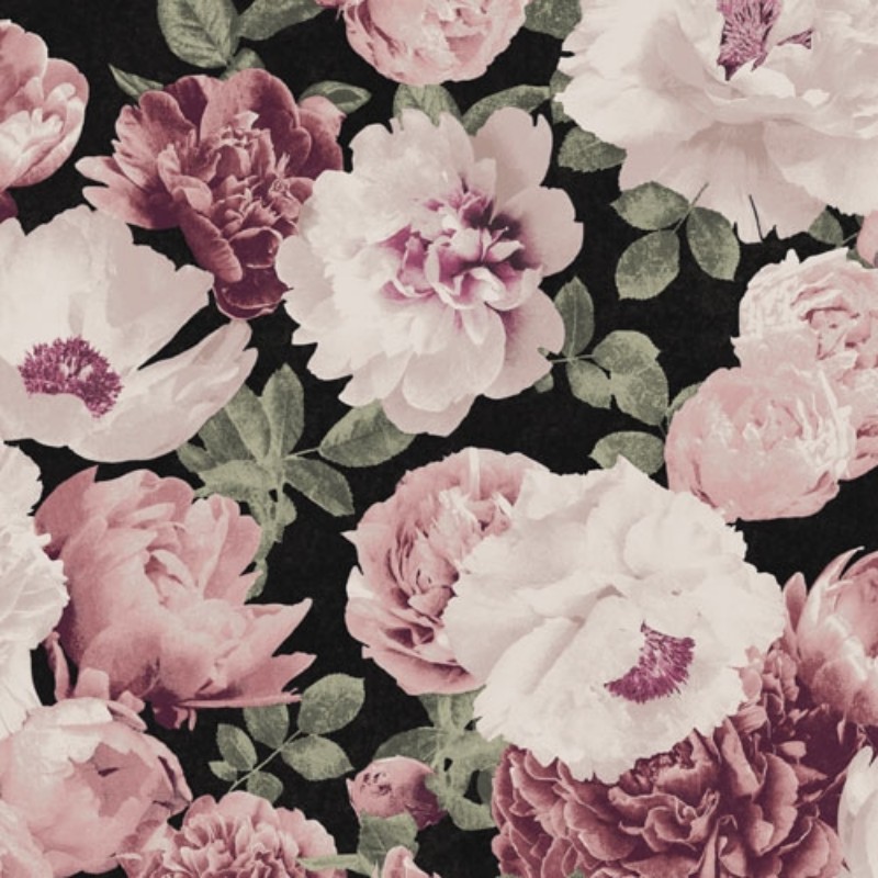 Bild på Kent - KEN001