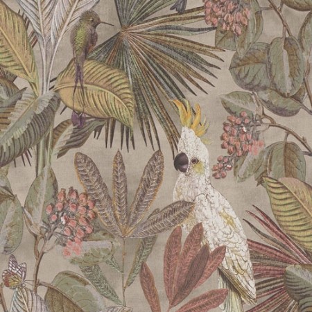 Tropics - 220121 wallpaper 