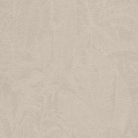 Bild på Tropics - 219913