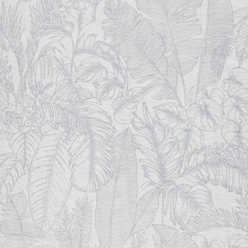 Picture of Tropics - 219910