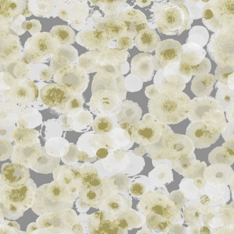 Afbeeldingen van Caribbean - 1054-2