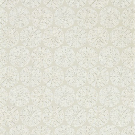 Picture of Maris Oyster - DCOA216590