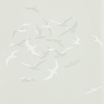 Picture of Larina Gull - DCOA216580