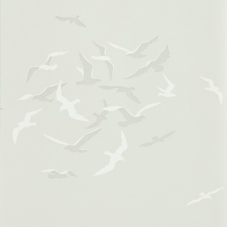 Picture of Larina Gull - DCOA216580