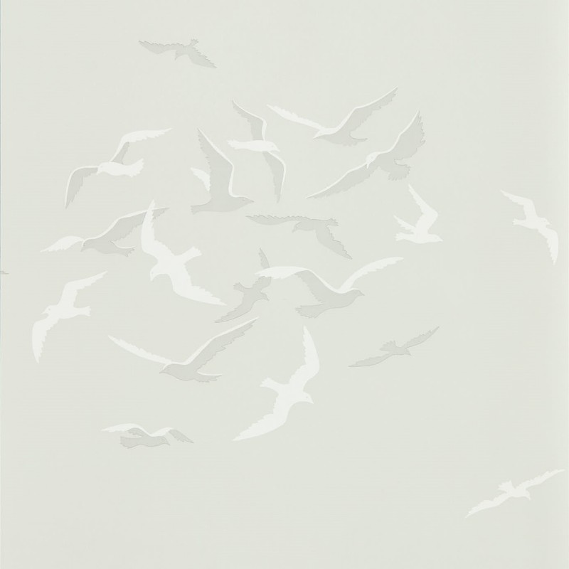 Picture of Larina Gull - DCOA216580