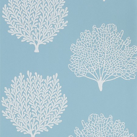 Picture of Coraline Marine - DCOA216577