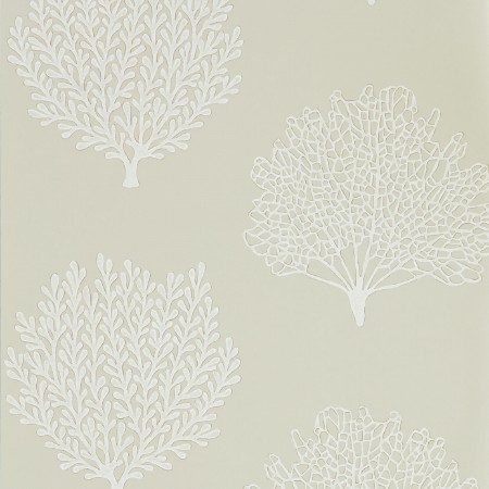 Picture of Coraline Driftwood - DCOA216574