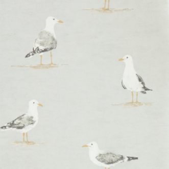 Picture of Shore Birds Gull - DCOA216565