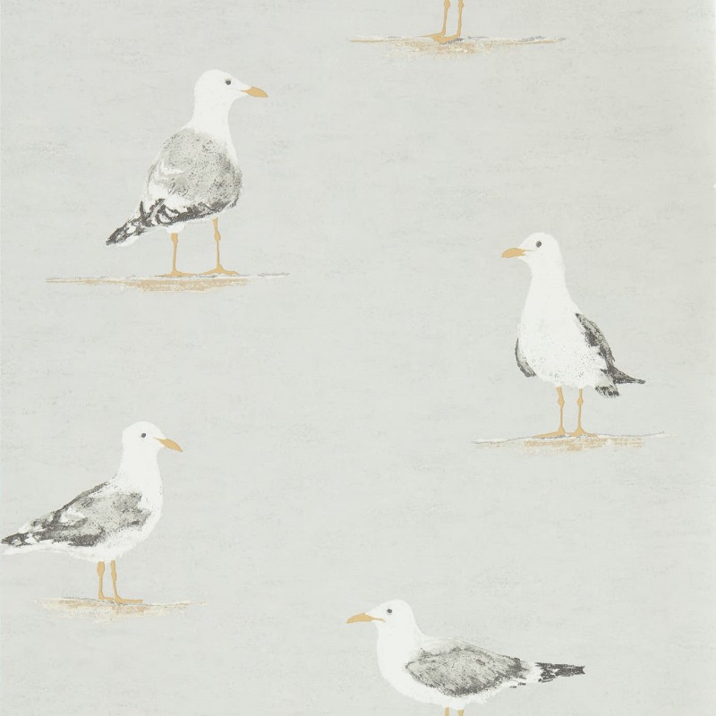 Picture of Shore Birds Gull - DCOA216565