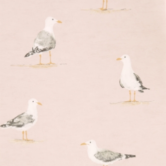 Picture of Shore Birds Blush - DCOA216562