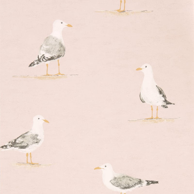 Picture of Shore Birds Blush - DCOA216562
