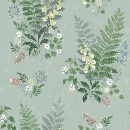 Image de Foxglove - 7221