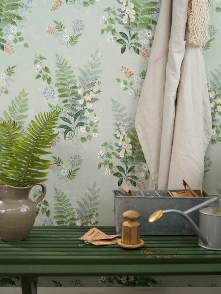 Image de Foxglove - 7221