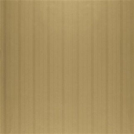 Bild på TREVOR STRIPE GOLD - PRL5014/02