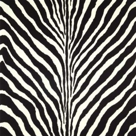 Afbeeldingen van BARTLETT ZEBRA CHARCOAL - PRL5017/04