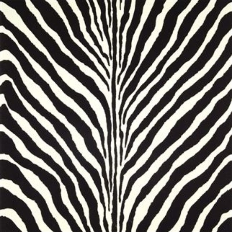 Bild på BARTLETT ZEBRA CHARCOAL - PRL5017/04