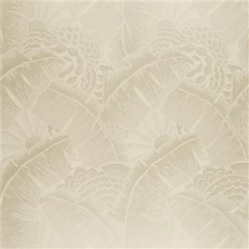 Afbeeldingen van COCO DE MER OPAL - PRL5010/01