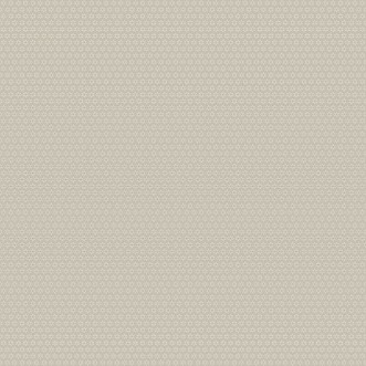 Picture of Stella - 27028