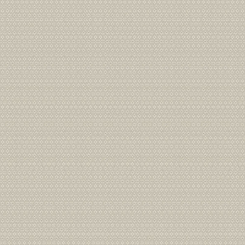 Picture of Stella - 27028