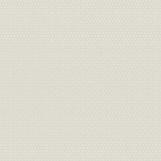 Picture of Stella - 27026