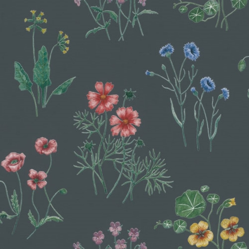 Poza cu Juli - 27024