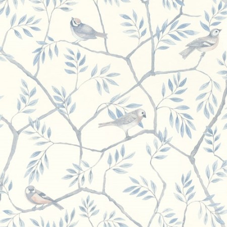 Picture of August - 27016