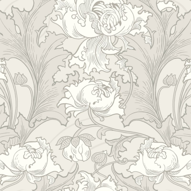 Image de Siri - 4540