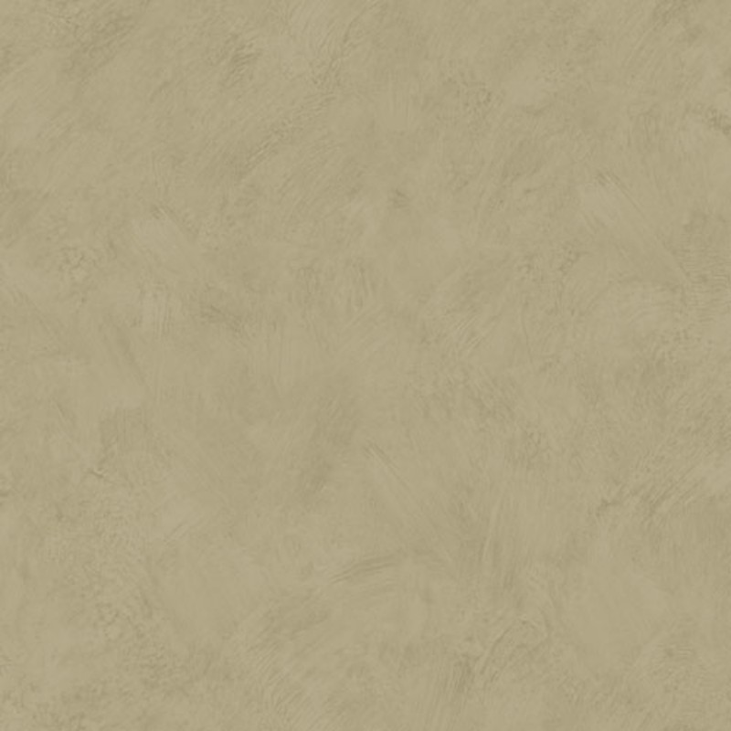 Palma - 18112 paveikslėlis