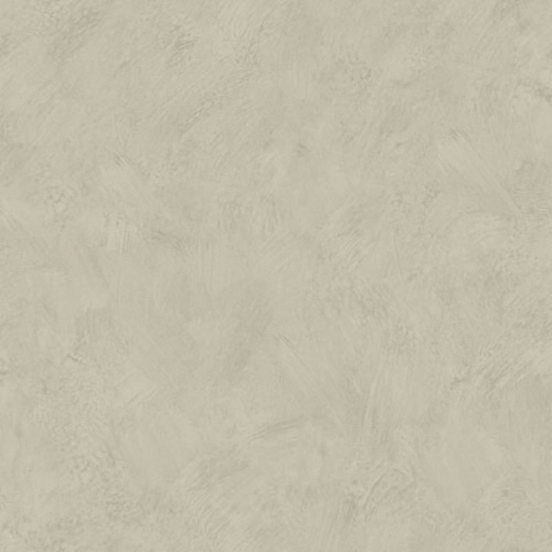 Obrázek Palma - 18108